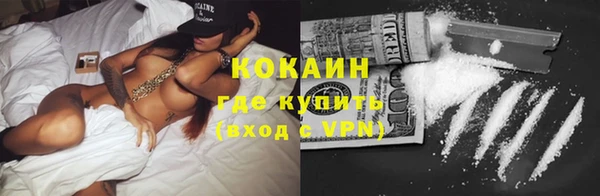 прущие грибы Балахна