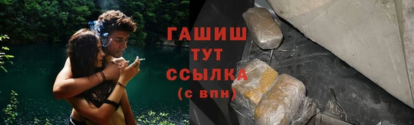 прущие грибы Балахна