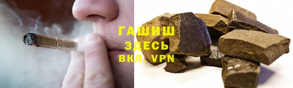 прущие грибы Балахна