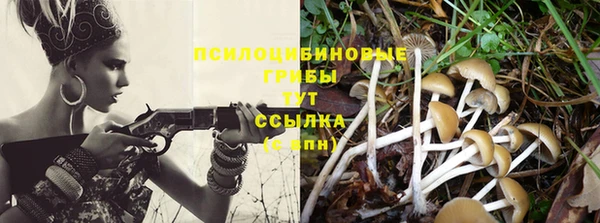 прущие грибы Балахна