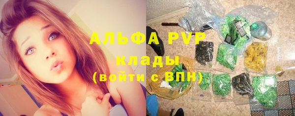 прущие грибы Балахна